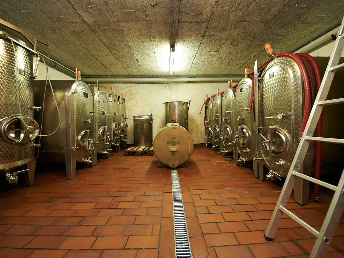 Ferienwohnung-Vinothek Keifer Kinheim Esterno foto