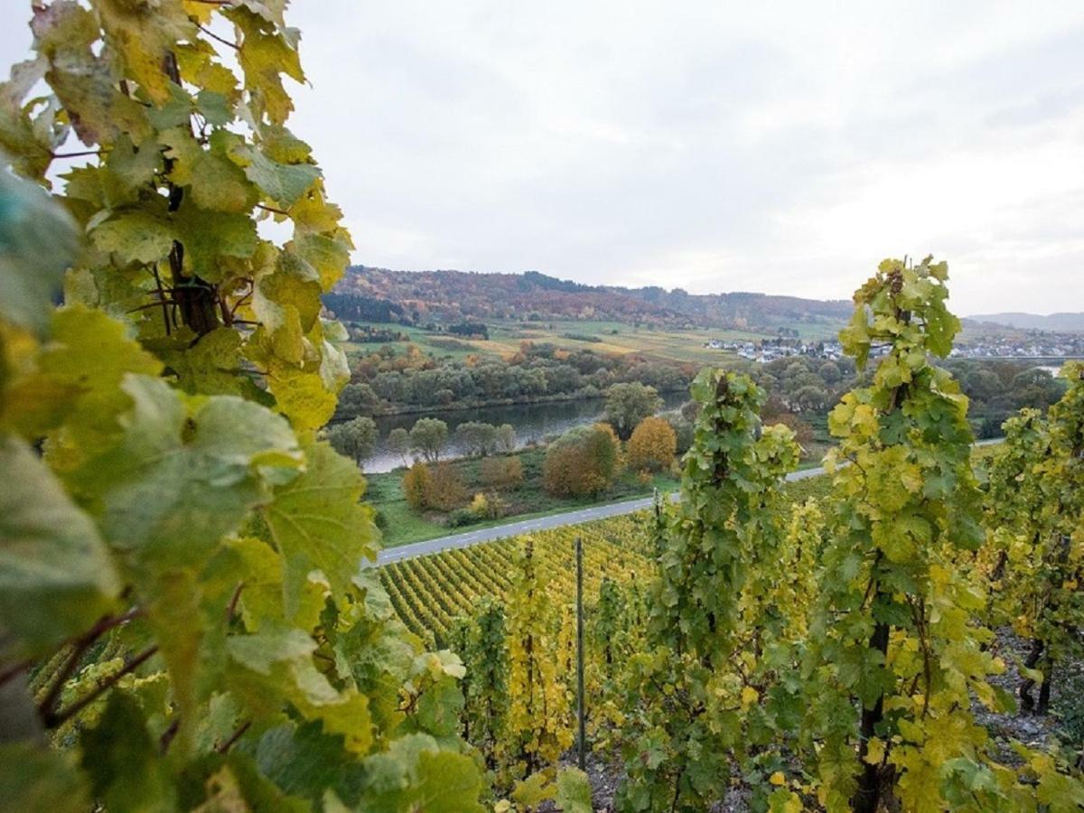Ferienwohnung-Vinothek Keifer Kinheim Esterno foto